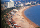海外インターンシップ都市情報　青島